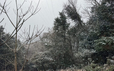 新年最初の作業風景!!